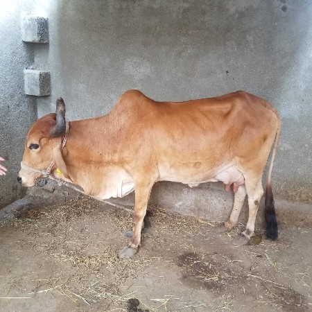 थंबनेल 3