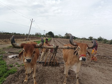 थंबनेल 3