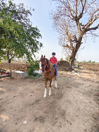 થંબનેલ 2