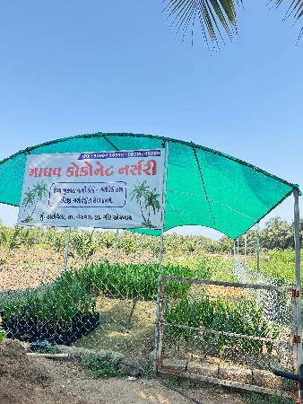 ડીટી‌ વાનફેર રોપ