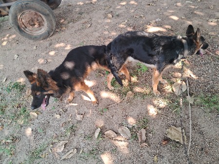 थंबनेल 3