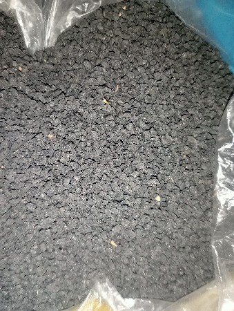 લાલ ડુંગળી  નુ બીયારણ