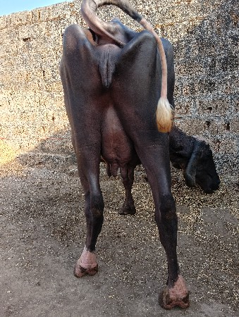 थंबनेल 2