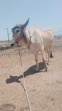 थंबनेल 2