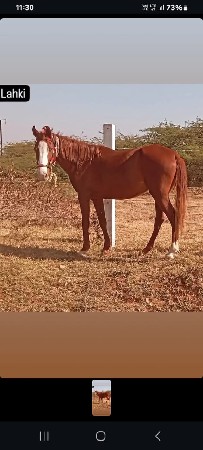 એક આખમા ટાકિછે