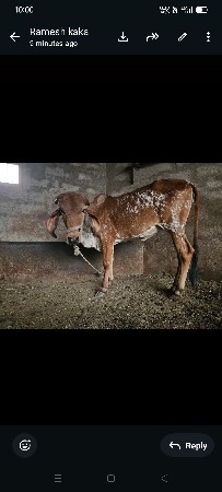 थंबनेल 3