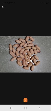 બિ1યારણ   39 . 22       9173588078