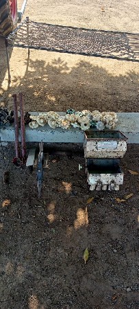 મોસમની ઓરણી વેચવાની છે પાંચ દાતાની