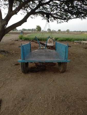 थंबनेल 3