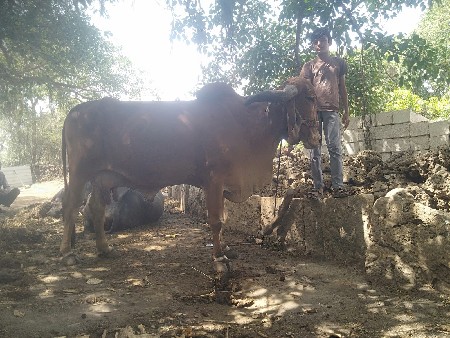 थंबनेल 3