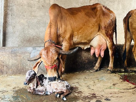 थंबनेल 3