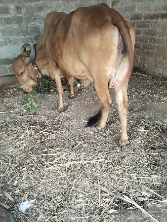 थंबनेल 3