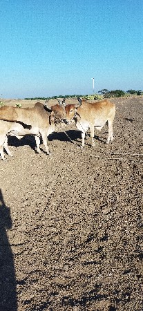 થંબનેલ 3