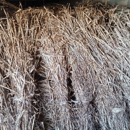 કરમટા હિતેશ