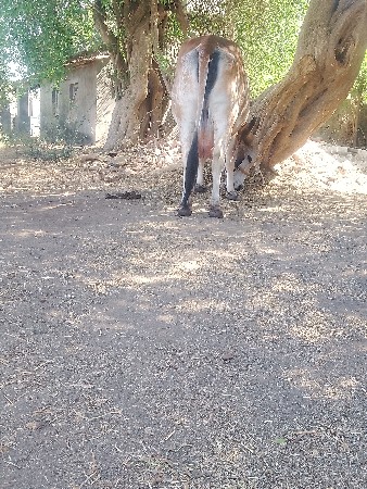 થંબનેલ 3