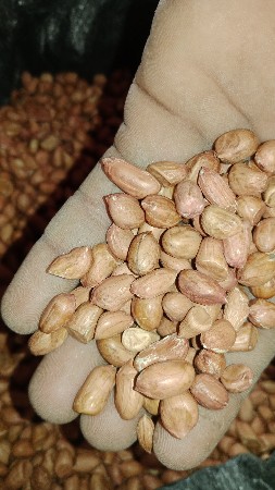 થંબનેલ 3