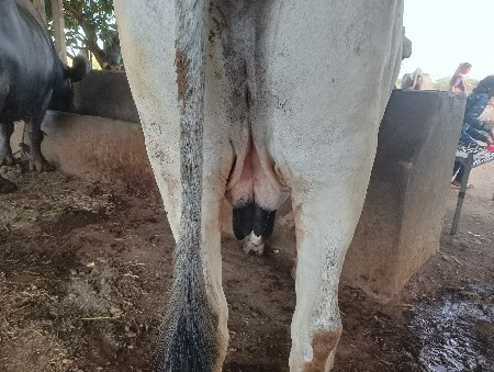 थंबनेल 3