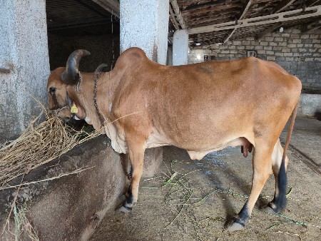 थंबनेल 3