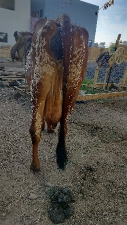 થંબનેલ 3