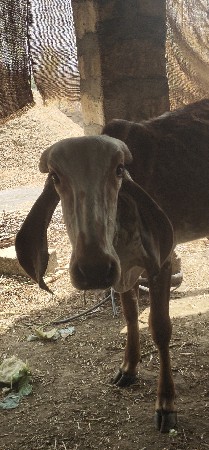 थंबनेल 2