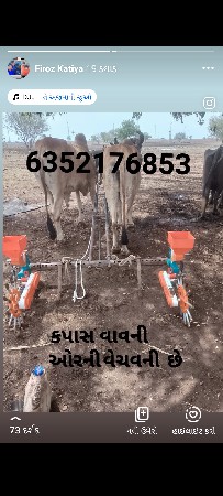 ઓરણી વેચવાની છે