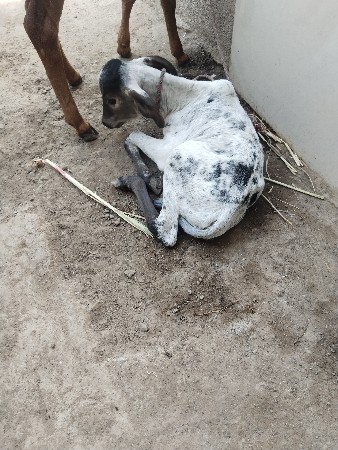 थंबनेल 3