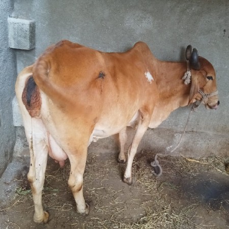 थंबनेल 2