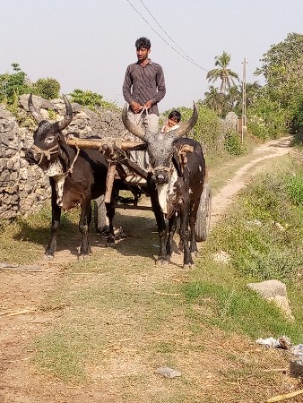 थंबनेल 3