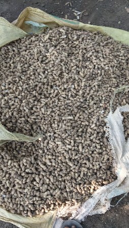 39. માંડવી વેચવાની છે