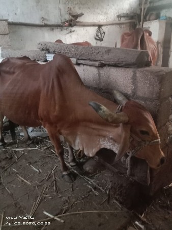 थंबनेल 3