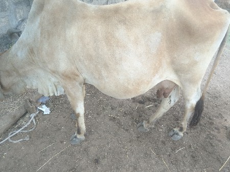 थंबनेल 3