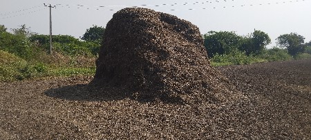 મગફળીનો ભુક્કો વેસવાનો સે.G20