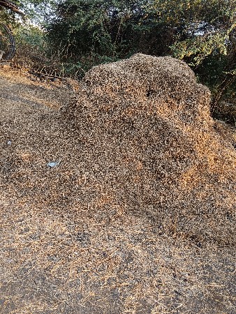 ભૂકો વેચવાનો છે