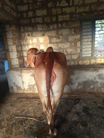 थंबनेल 3