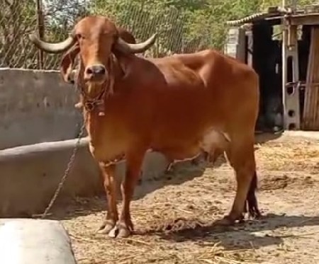 थंबनेल 2