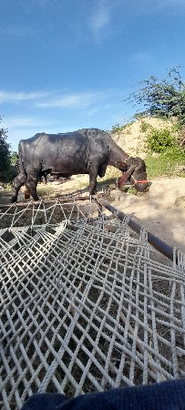 थंबनेल 2