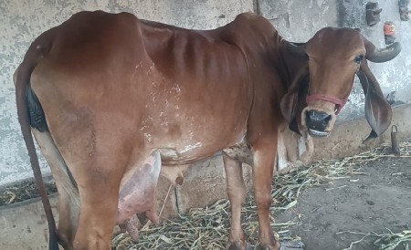 थंबनेल 2