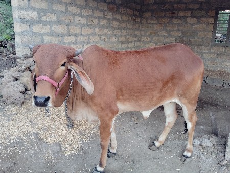 थंबनेल 2