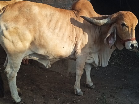 थंबनेल 2