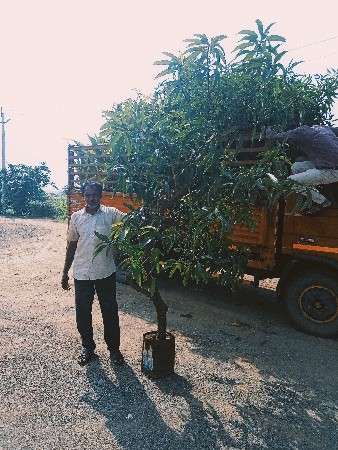 જય દ્વારકાધીશ નર્સરી