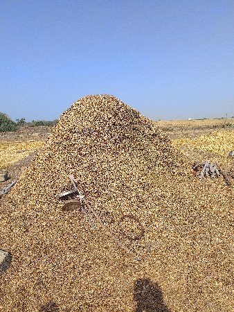 માડવિ નું ખળ વેચવાનૂ છે