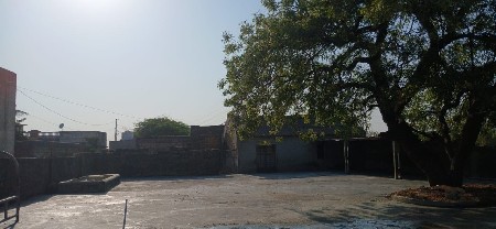 ગાયુ ભેશો નો ગોવાળ જોયેછે