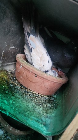 थंबनेल 3