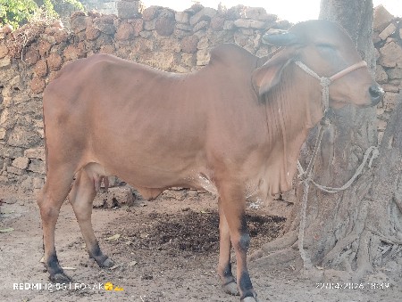 थंबनेल 3