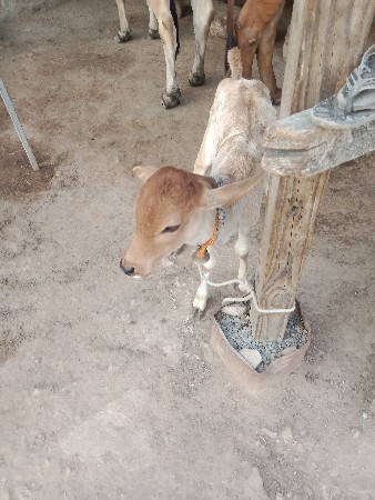 थंबनेल 3