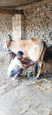 थंबनेल 4