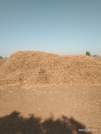 જેવીસ ભુકો વેસવાનોછે