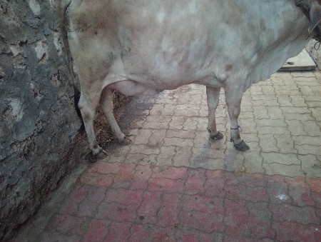 थंबनेल 3