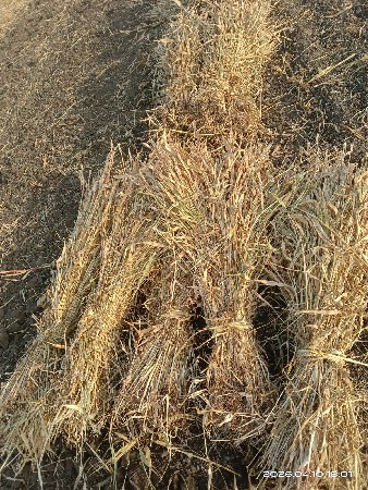 નીરન વેચવા ની છે