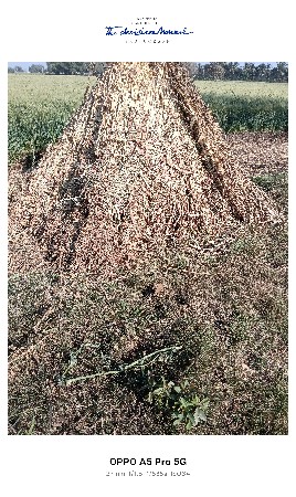 ,, નીરણ વેચવાની છે